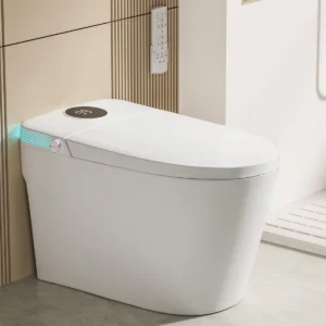 Smart Toilet with Bidet for Sale